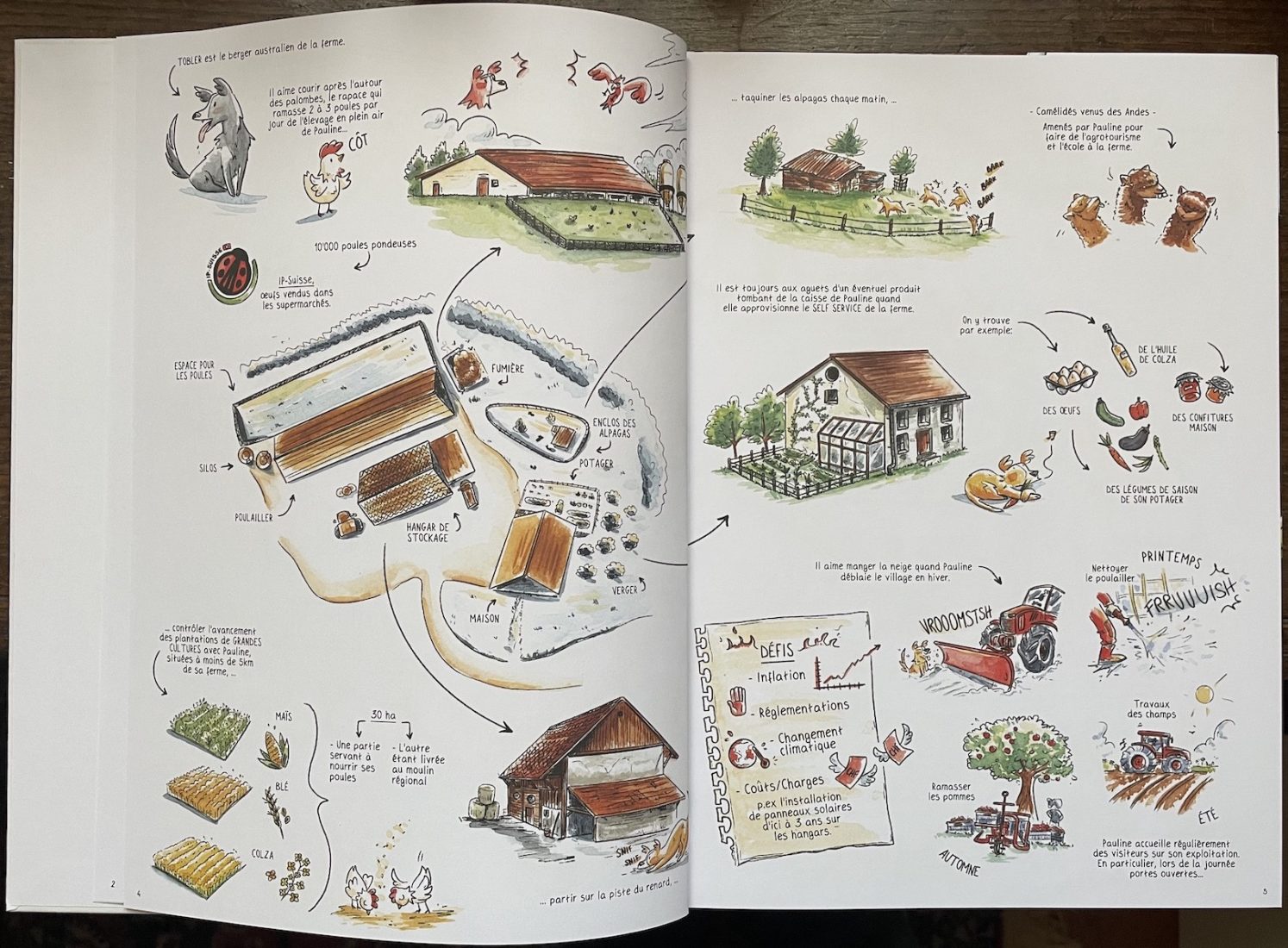 Double page BD de l’agriculture romande