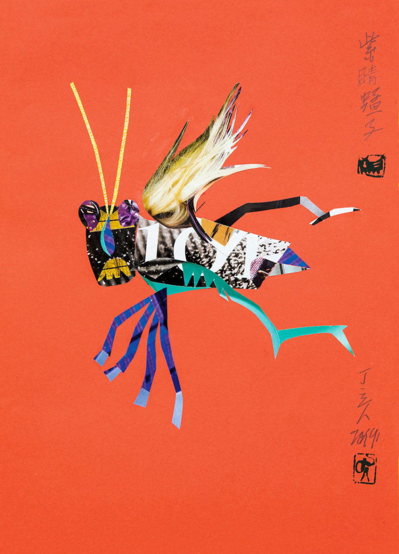 Ding Liren Purple-eyed Locust (Criquet aux yeux violets)