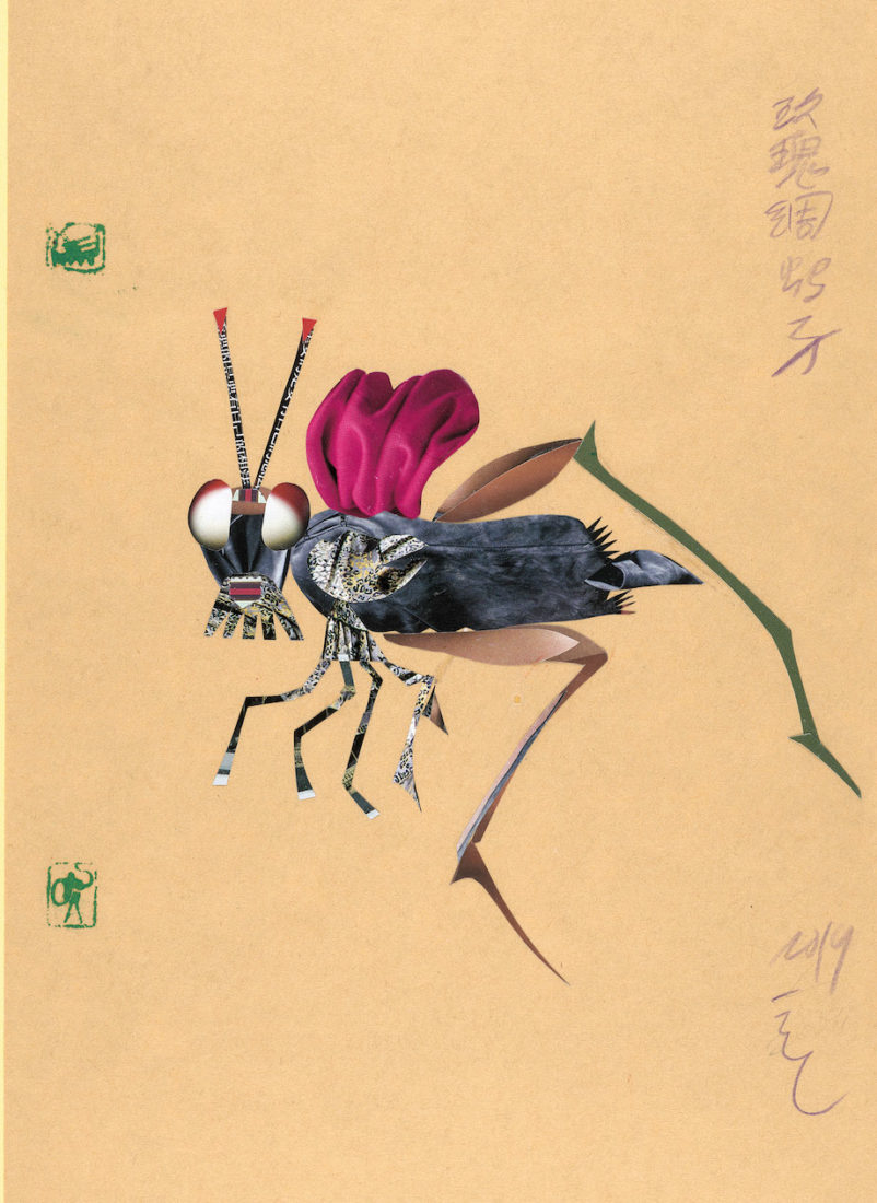 DIng Liren Rose Soilk Locust (Criquet rose soie),