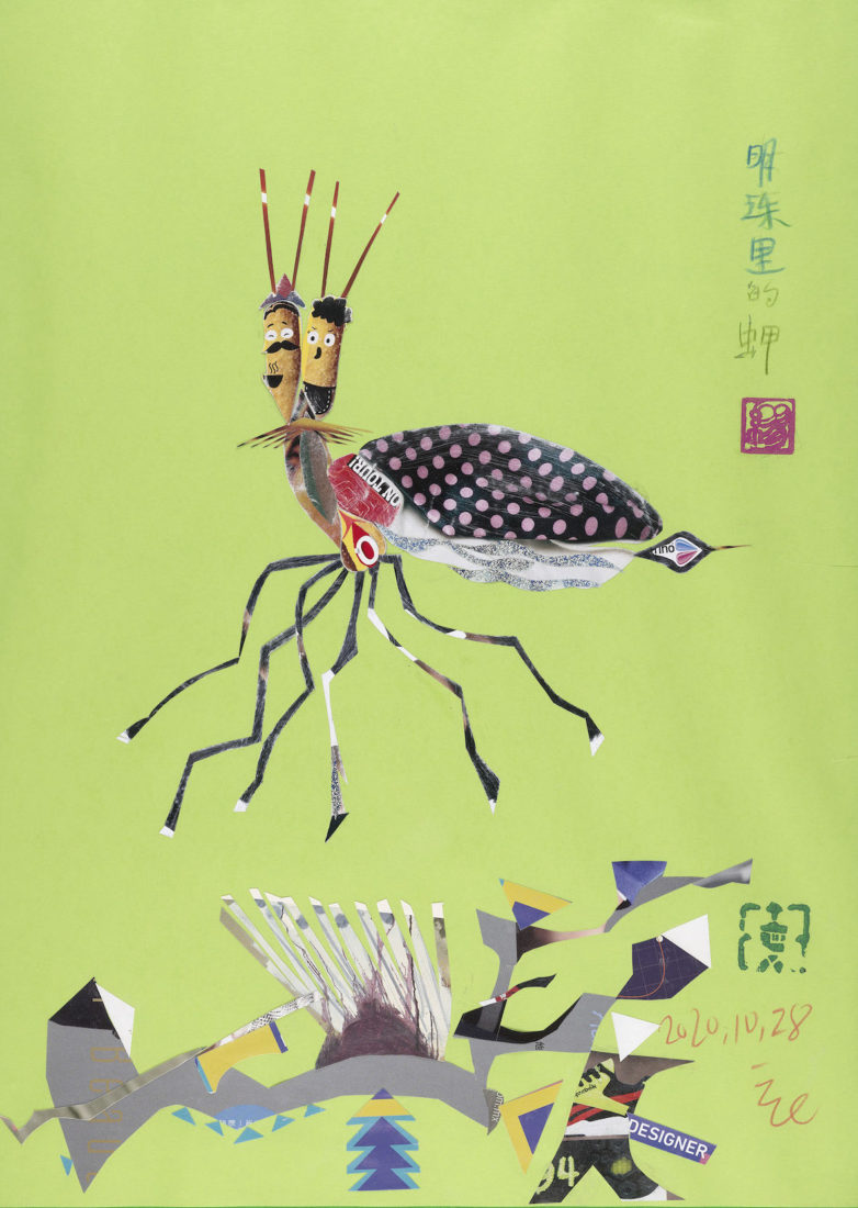 Ding Liren Beetle of Mingzhuli (Scarabée de Mingzhuli)