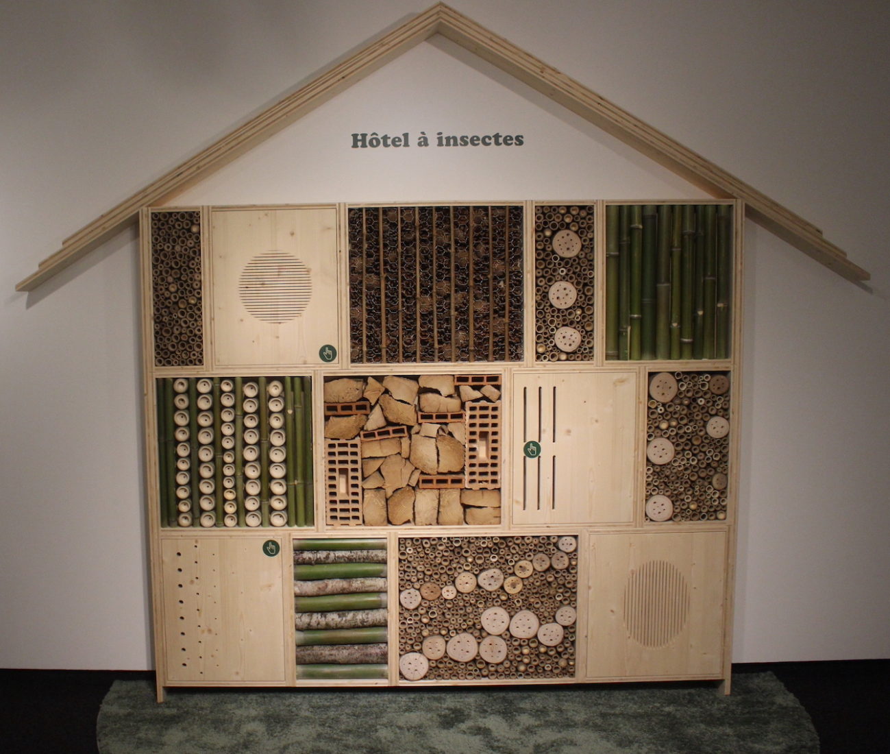 Portrait de Ding Liren. maison aux abeilles