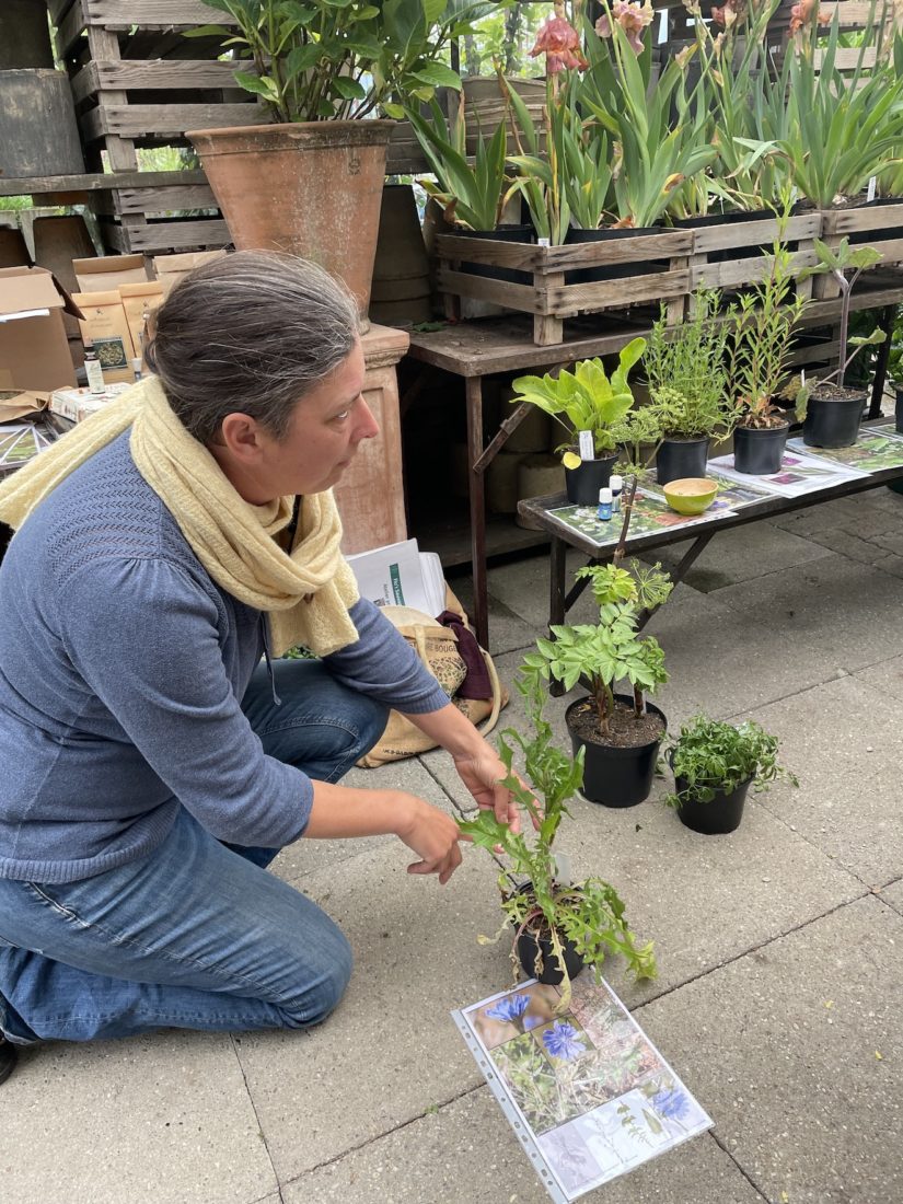 Florence Vez, plantes médicinales Remy Jaggi