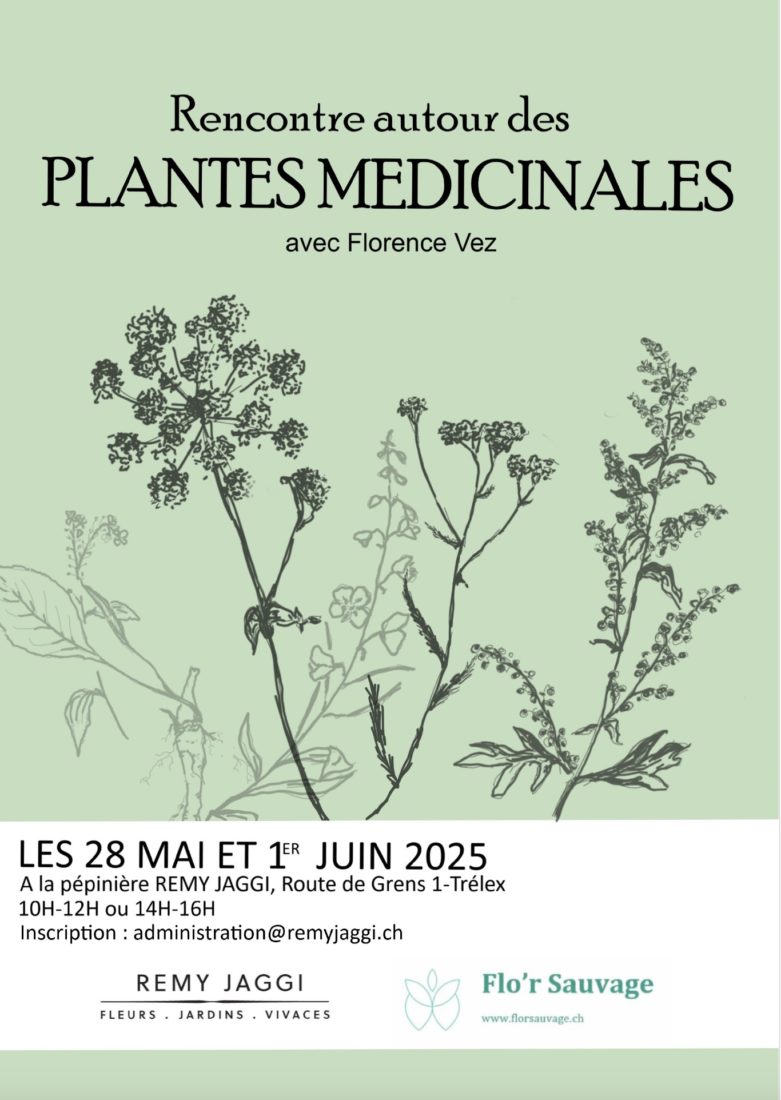 Affiche plantes médicinales Trélex