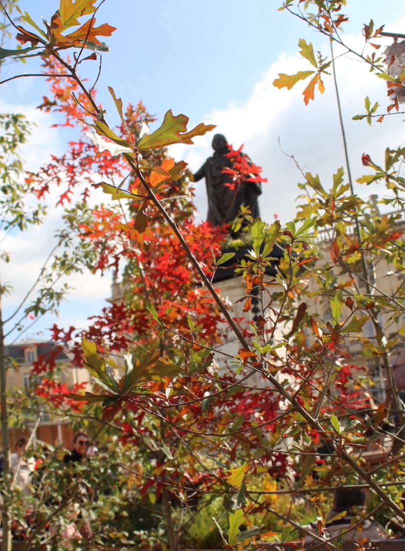 Jardin Éphémère Nancy 2025 branches automne