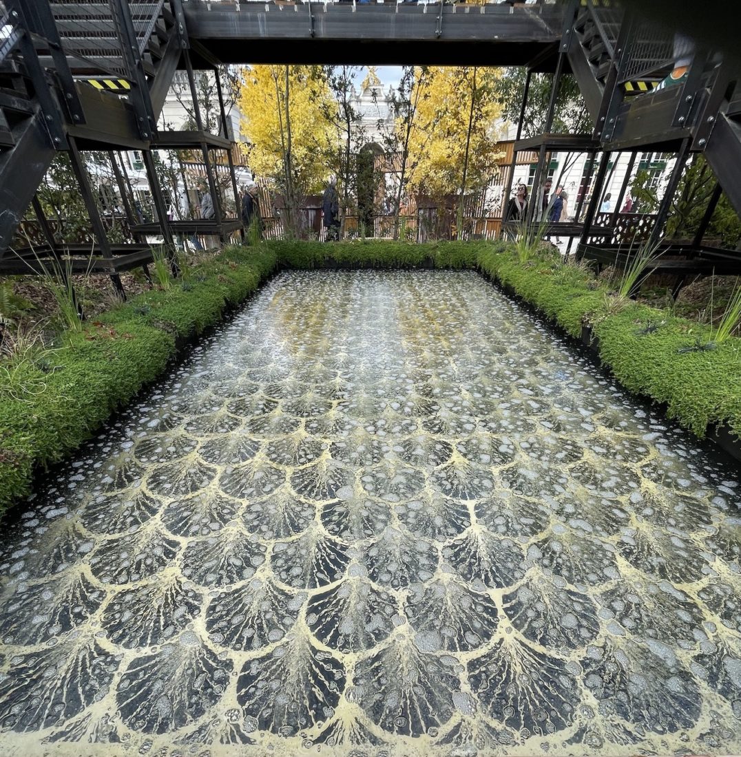 Jardin Éphémère Nancy 2025 bassin fond Art déco