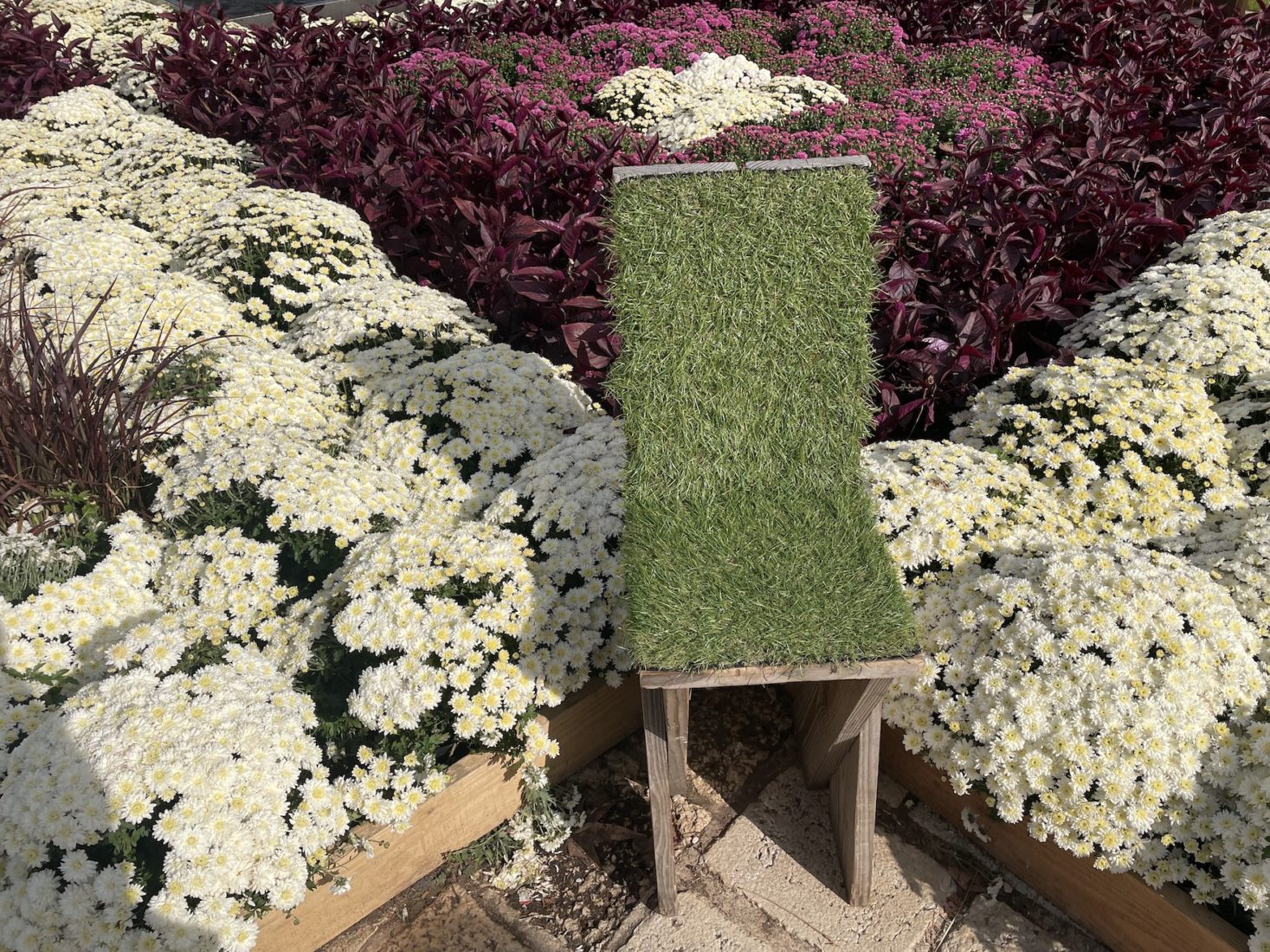 Jardin Éphémère Nancy 2025 chaise végétalisée