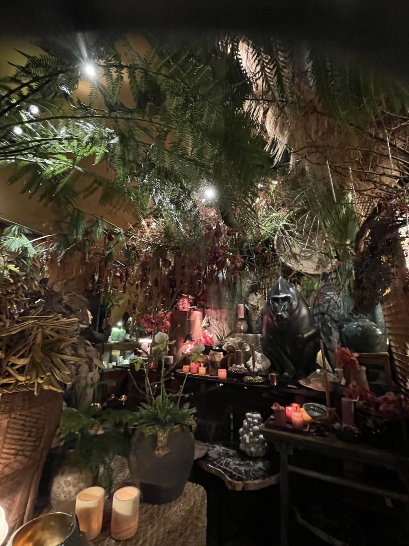 Rémy Jaggi à Trélex 2025 décor avec singe