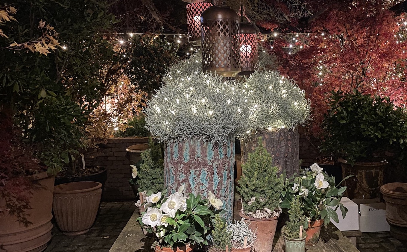 Rémy Jaggi à Trélex 2025 décor lumineux