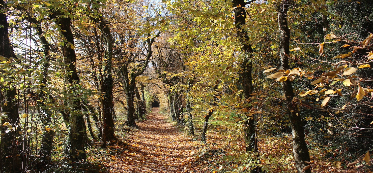 Ferney Voltaire La charmille