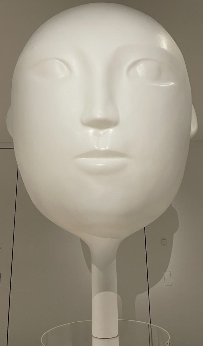 Exposition Générale Paris fondation Cartier visage