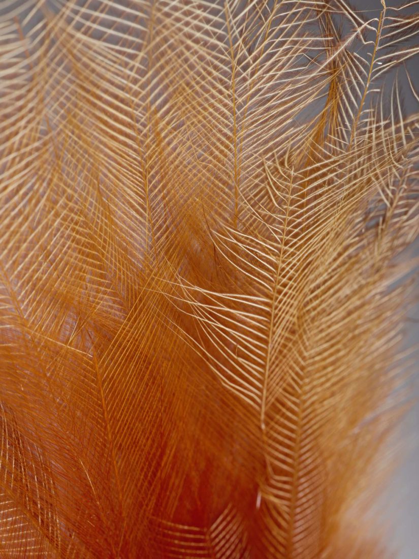 Ornement de plumes Kelarga
