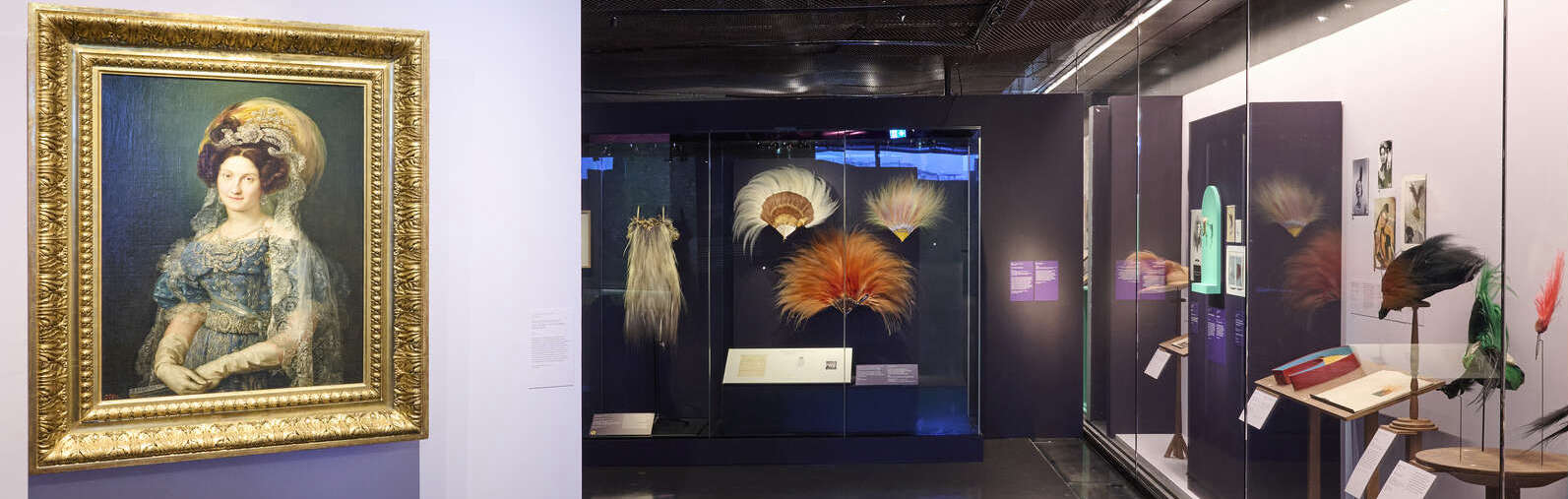 Vue de l'exposition oiseau extraordinaire de Nouvelle-Guinée