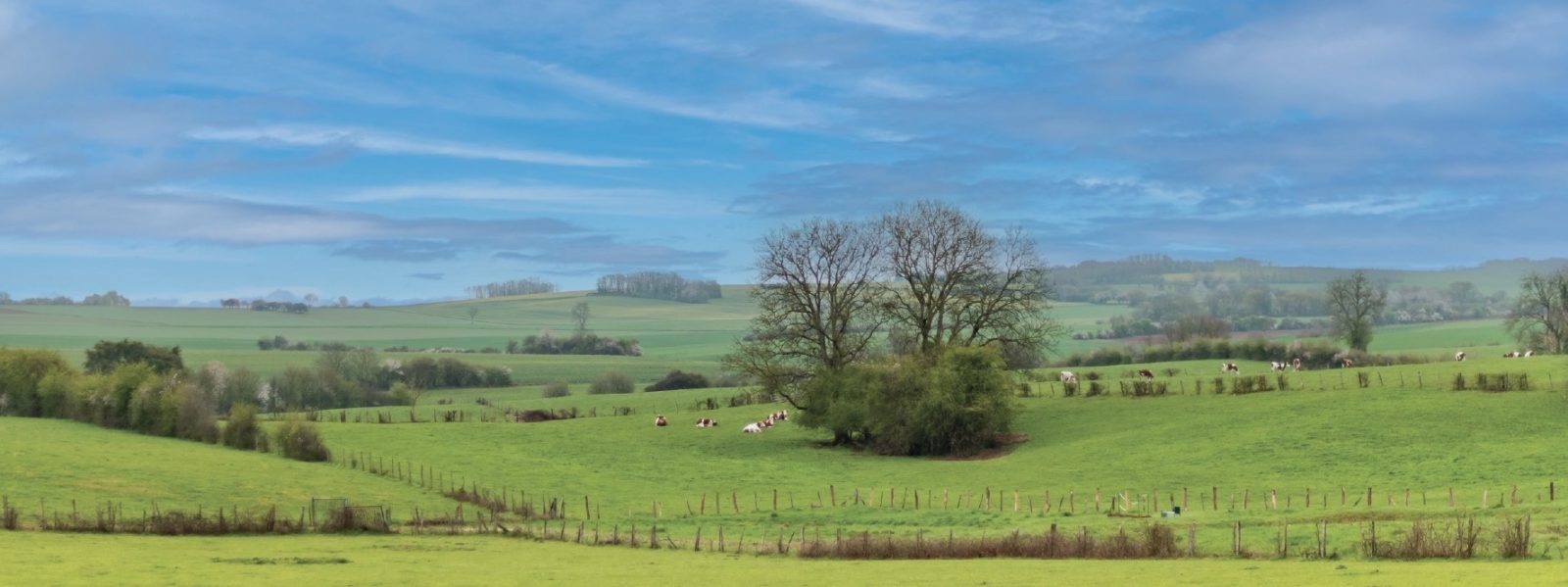 Paysage Jura cancoillotte