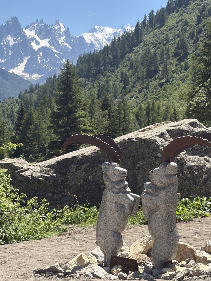 Chalet du Col des Montets animaux en bois