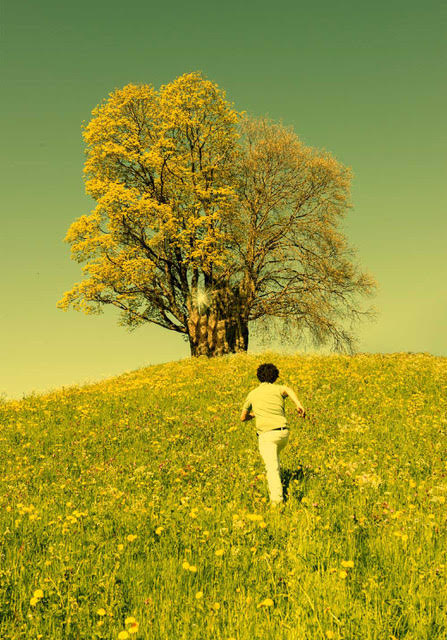Keight : Curiosity #2,