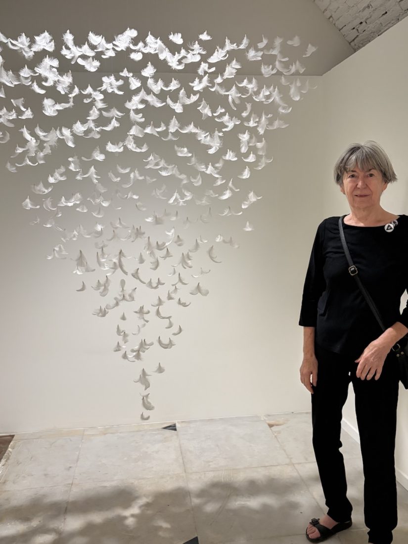Isa BARBIER installation en plumes