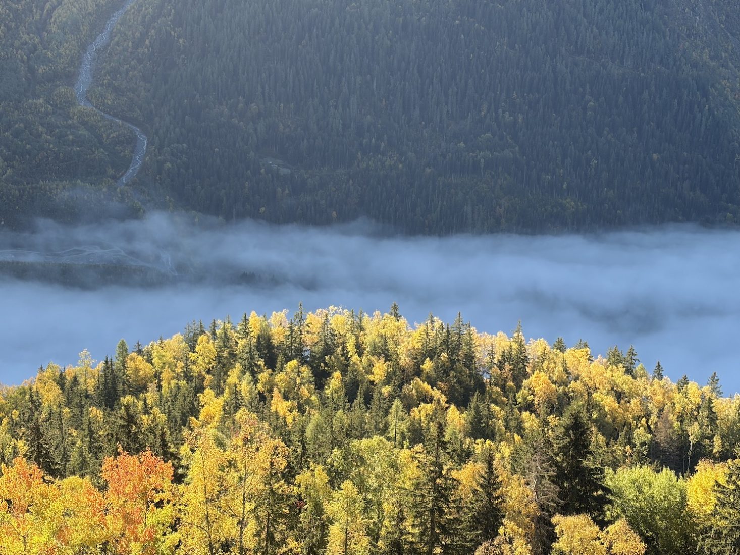 Parc de Merlet paysage brouillard