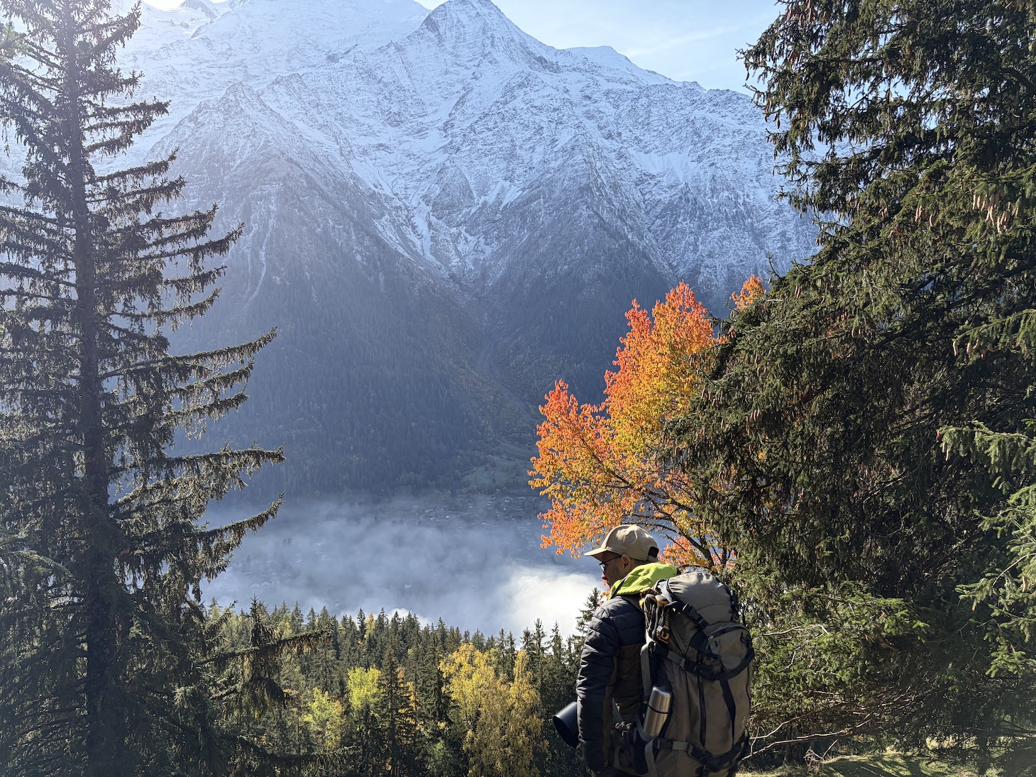 Parc de Merlet paysage sur la vallée de Chamonix
