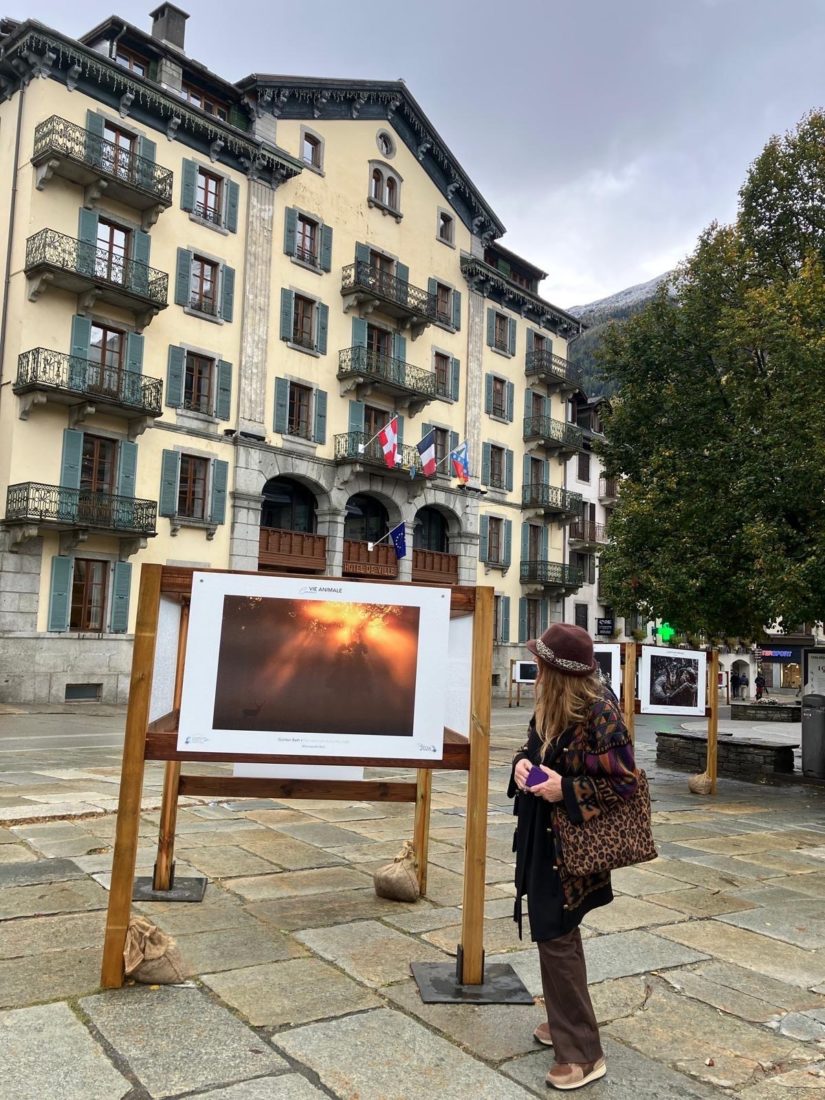 Chamonix Photo Festival 2026 expo en plain air - mairie