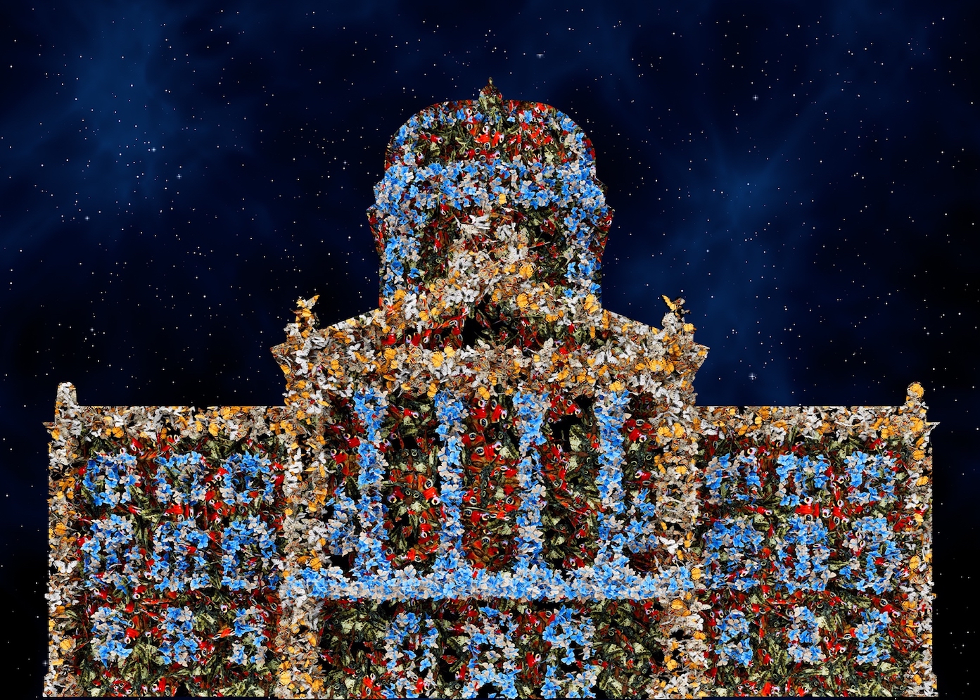 Rendez-vous Bundesplatz papillons bleus